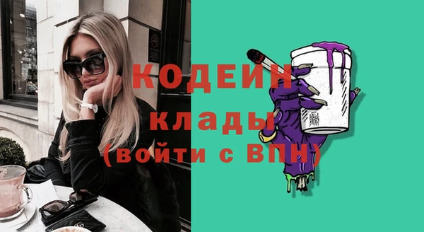 крисы Бронницы
