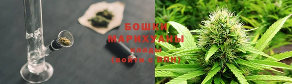 крисы Бронницы