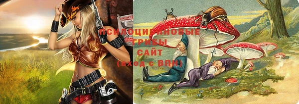 mix Бородино