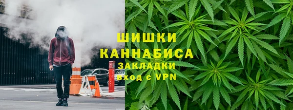 крисы Бронницы