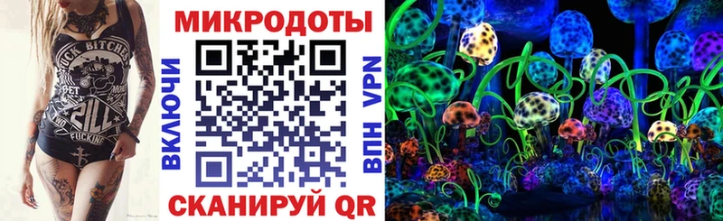 Галлюциногенные грибы Psilocybe Миньяр